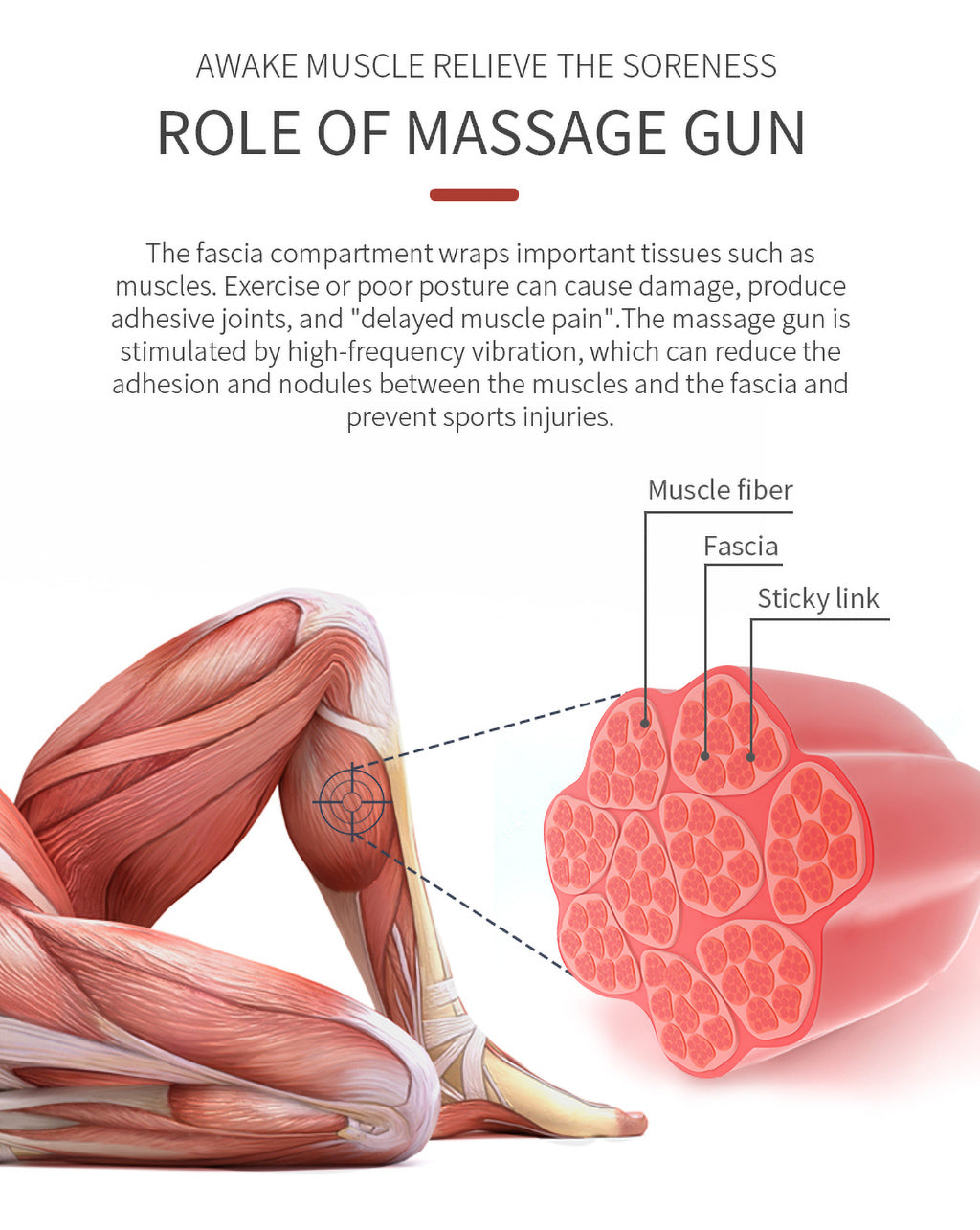 CROSSGUN- BS200 Mini Massage Gun Deep Tissue Massager - Portable Percussive Muscle Massage Gun for Pain Relief - Ultra Small and Quiet Muscle Massage Gun with Convenient Carrying Case to Use Anytime, Anywhere.