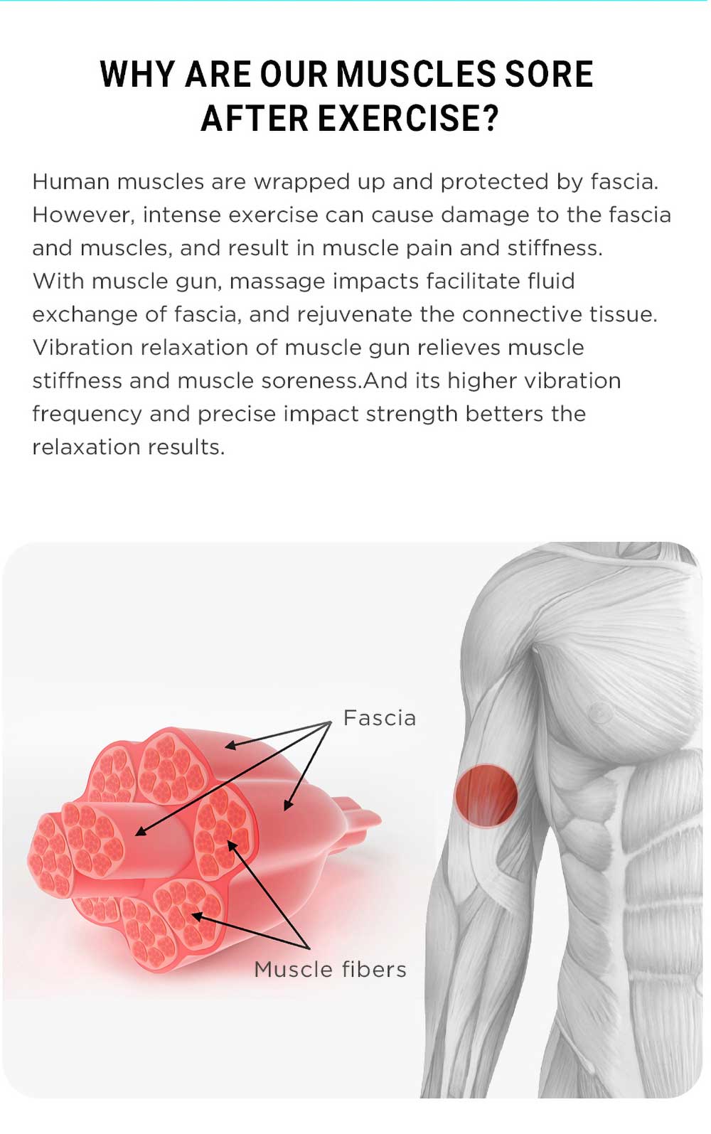 CROSSGUN- BS200 Mini Massage Gun Deep Tissue Massager - Portable Percussive Muscle Massage Gun for Pain Relief - Ultra Small and Quiet Muscle Massage Gun with Convenient Carrying Case to Use Anytime, Anywhere.